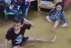 Warga Jalan Praja Gupta  Kelurahan Sri Mulya Kecamatan Sematang Borang Resah, Imbas Penimbunan Rawan Banjir