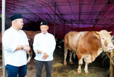 Grab dan OVO Berkurban 4 Sapi  dan Puluhan Kambing, Untuk Masyarakat Serta Mitra Pengemudi