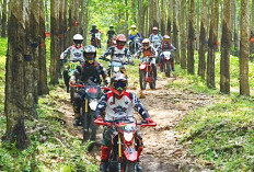 Danrem 043/Gatam, 1500 Riders Meriahkan Geber 1 Motor Cross Gatam Ekselerasi Braap Reunion Resmi di Tutup