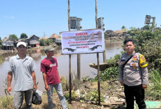 Kapolsek Jejawi Imbau Waspada Buaya Liar 