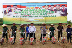 Dukung Ketahanan Pangan Tanam Benih Jagung 