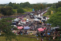 GM Sumatera Ekspres  H Iwan Irawan : Terimakasih Para Sponsor,  Pengunjung Panjat Pinang 80 Pohon Membludak