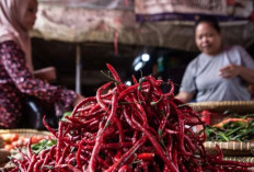 Inflasi Mei 2026 Terjaga 3,08 Persen Berkat Sinergi BI-Pemerintah