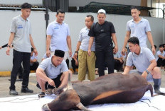 BATIQA Hotel Palembang Tebar Kepedulian Idul Adha, Salurkan 179 Bungkus Daging Kurban untuk Warga