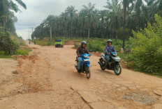 Warga Keluhkan Jalan Perbatasan di Belakang Perumahan Revari Talang Kelapa 