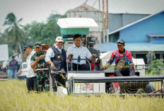 Wamentrans dan Bupati Panen Raya di Telang Rejo