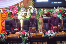 Ulang Tahun ke-1.342, Kota Palembang Dapat Kado Istimewa dan Catatan Prestasi Membanggakan
