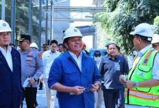 Gubernur Pastikan Semen Baturaja Siap Suplai Kebutuhan PSN