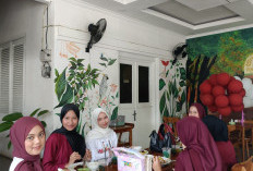   Cocok Buat Acara, Cozy dan Harga Terjangkau
