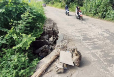 Semakin Besar Lubang di Perum PNS Pemkot Gandus