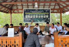 PLN UIP Sumbagsel Dukung Penguatan Ekonomi Desa Sungsang IV, Lewat Program Pesona Mangrove