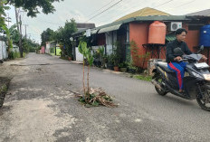 Ada Lubang di Tengah Jalan Mayor (Laut) Wiratno
