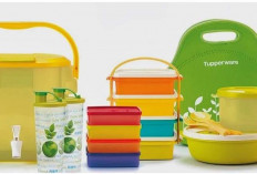 TUPPERWARE BANGKRUT