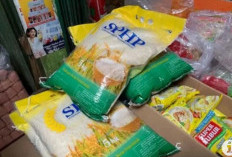 HINGGA AGUSTUS 2025,  Bulog Sumsel Babel salurkan 8.500 ton Beras SPHP
