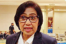 Caleg DPR RI Irma Suryani Raih Hampir 180 Ribu Suara, Prioritaskan 5 Program Prioritas