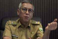 ALOKASI BERTAMBAH Serapan Pupuk Subsidi Sumsel Tembus 304 Ribu Ton