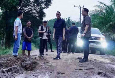 Jalan Poros Rusak, Bupati OKI Koordinasi dengan Perusahaan untuk Jalur Alternatif