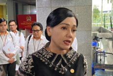 OJK Usul Sanksi Pidana Bagi   'Finfluencer' Masuk Revisi UU P2SK