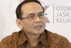 OJK Nilai Sektor Pembiayaan Siap Tanpa Kebijakan Stimulus COVID-19