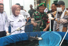 Panen Ikan Patin dan Penanaman Bibit Palawija 