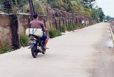 Sungai Sekanak Lambidaro Tanjung Barangan Bersolek