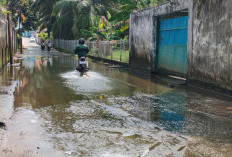 Hujan Turun Selalu Tergenang Air di Jalan Bonsai Jaya 
