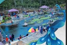 Libur Panjang Agrowisata Tanjung Sakti Ramai Dikunjungi 