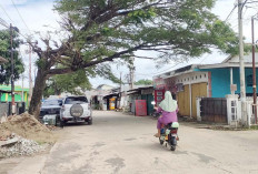 Ranting Pohon Menyentuh Rumah Warga