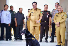 Bupati HM Toha: Bahaya Narkoba Sudah di Depan Mata