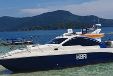 Bank Terpadu Dinanti 