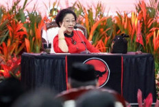 Megawati minta Ahok tak banyak nyerocos ke publik