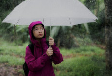 Sumatera Selatan Diprediksi Hujan pada 19-20 Juni 2025, Ini Lho Wilayah Siaga Hujan Menurut  BMKG! Yuk di Cek
