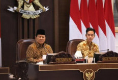 Lengkap! Daftar Menteri dan Wakil Menteri Kabinet Merah-Putih Prabowo