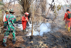 Tinjau Titik Karhutla, Sumsel Prioritas BNPB 