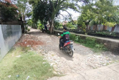 Jalan Samping Aliran Sungai (DAS) DPRD Sumsel Rusak dan Berlubang