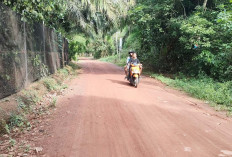 Jalan Tanahnya Mulus Sekali, Mirip di Aspal