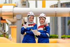 Ada 300 Kuota, Universitas Pertamina Buka Beasiswa 2025