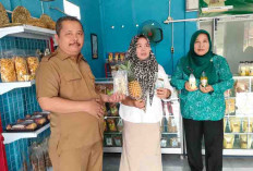 PALI Kini Miliki Pusat Oleh-oleh, Olahan Nanas jadi Andalan