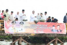 Penyelamatan Kelestarian Sumberdaya Perikanan