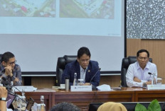 Purbaya Gelar Sidang, Pengusaha Mengeluh: Mau Usaha, Modal Dicegat Bank