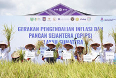 RAKOR TPID DI TENGAH SAWAH : Gubernur Tegaskan Komitmen Pengendalian Inflasi dan Ketahanan Pangan   