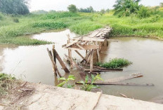Jembatan Kayu Buyut Tampa Rusak