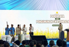 Panen Raya Nasional di Karawang, Pangdam II/Sriwijaya Tegaskan Dukungan TNI untuk Swasembada Pangan