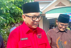 Asri Langsung Daftar Cabup di Tiga Parpol Sekaligus