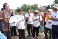 Menang Gugatan Hutan Kota, Kejari OKI Tuai Pujian