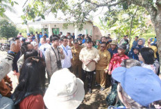 Bupati Banyuasin Terima Delegasi Tiga Negara