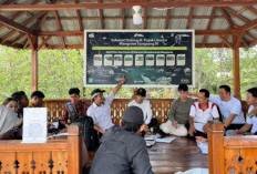 PLN Ubah Hutan Mangrove Banyuasin Jadi Destinasi Ekowisata Baru: Ekonomi Desa Pesisir Langsung Melejit!