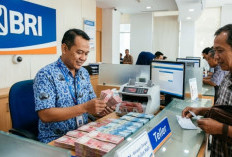 Solusi Modal UMKM 2026: KUR BRI Tawarkan Pinjaman hingga Rp250 Juta dengan Bunga 6% Per Tahun