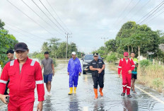 Ribuan Hektare Sawah di OKI Terendam Banjir