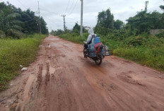 Jalan Belakang SD Negeri 122  Palembang Rata menjadi Tanah